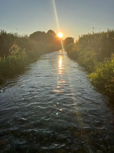 River Arle in Bishop's Sutton © Melissa Wall