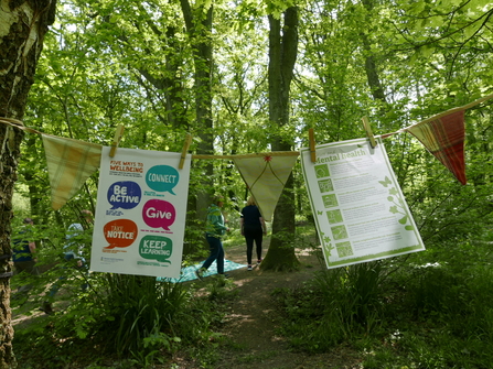 2 nature wellbeing posters explaining how to connect to nature hanging on some bunting out in a green woodland area