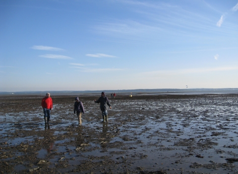 Shoresearch at Hillhead