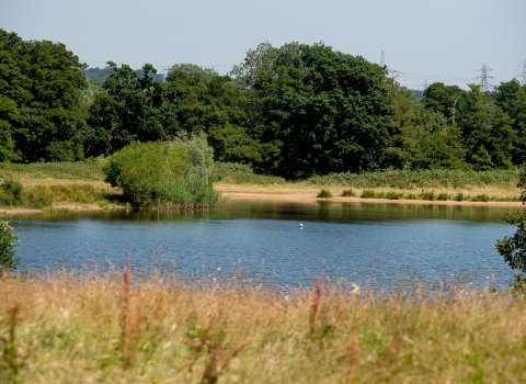 Testwood Lakes nature reserve © Southern Water 