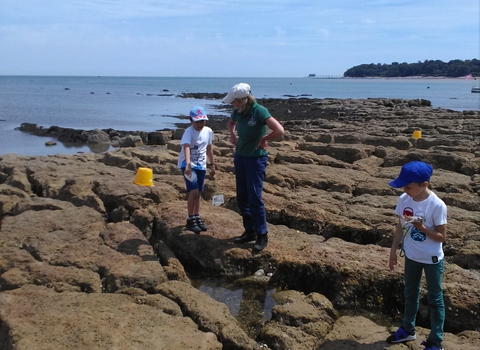 Children rockpooling at Wildbeach session © HIWWT