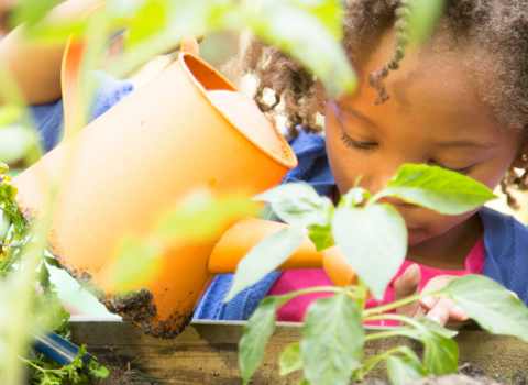 little girl watering plants