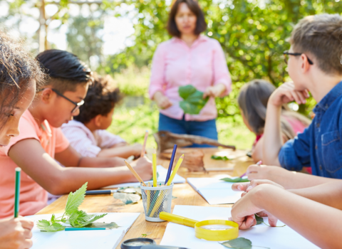 children in group outside studying nature