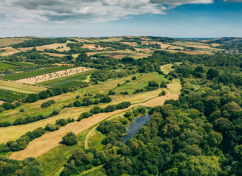 Newchurch Moors, Isle of Wight Wetlands