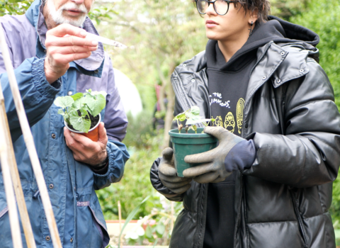 Southsea community garden two volunteers with plants in hands